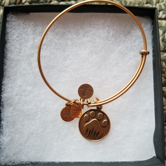 Alex and Ani Jewelry - Alex and Ani gold bracelet